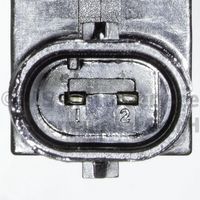 Article Picture