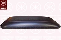 Dachträger