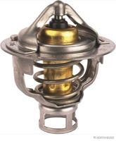 Thermostat, Kühlmittel