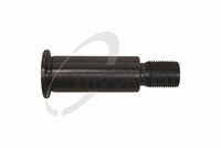 PIVOT LAGAR ROLA DE TENSIONARE