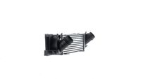 Thumbnail - Intercooler, inlaatluchtkoeler - CI686000S - MAHLE