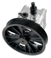 Hydraulikpumpe, Lenkung