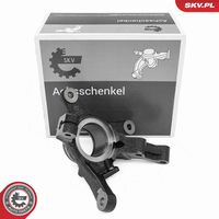 Steering Knuckle, wheel suspension