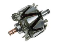 Rotor, alternator