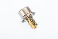 Thermostat, Kühlmittel