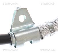 Article Picture