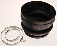 Article Picture