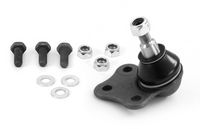 Trag-/Führungsgelenk