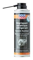SOLVENT RUGINA