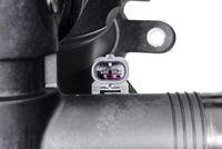 WAHLER Thermostaat, koelvloeistof 4