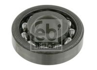 Wälzlager, Federbeinstützlager