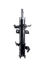 Amortizor DR!VE+, Cod: DP1610.10.0676