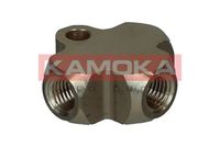 DISTRIBUITOR CONDUCTA FRANA