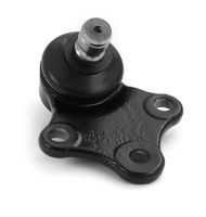 Trag-/Führungsgelenk