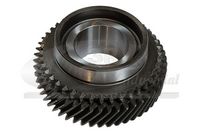 ROATA DINTATA ARBORE INTRARE CUTIE