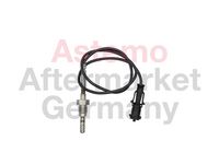 Sensor, Abgastemperatur