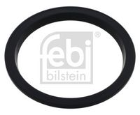 Wellendichtring, Radlager