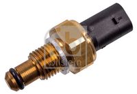 Sensor, Kraftstofftemperatur