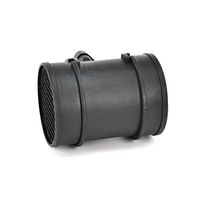 DELPHI Luchtmassameter 8