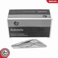 ORNAMENT SEMNALIZATOR