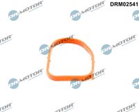 Gasket, coolant flange