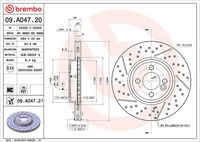 Δισκόπλακα PRIME LINE - UV Coated