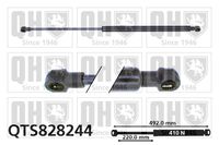 Gasfeder, Koffer-/Laderaum