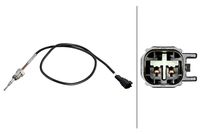 Sensor, Abgastemperatur