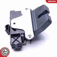 Article Picture