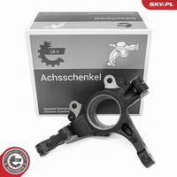 Steering Knuckle, wheel suspension