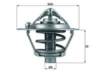 Thermostat, Kühlmittel