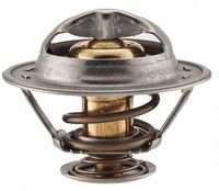 Thermostat, Kühlmittel