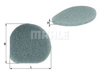 Filter, Innenraumluft