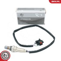 Oxygen Sensor