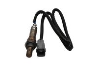 ламбда-сонда