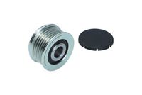 Alternator Freewheel Clutch