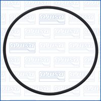 INEL DE ETANșARE POMPă DE INJECțIE