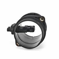 DELPHI Luchtmassameter 8