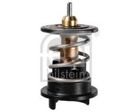 Thermostat, Kühlmittel