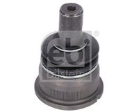 Trag-/Führungsgelenk