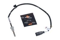 Sensor, Abgastemperatur