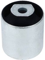 Article Picture