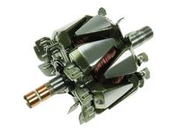 Rotor, alternator