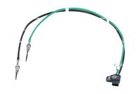 Sensor, Abgastemperatur