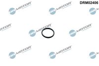 DICHTRING