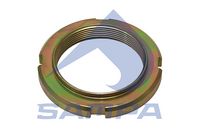 PIULITA ARBORE PRINCIPAL