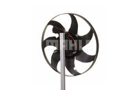 Thumbnail - Koelventilatorwiel - CFF19000S - MAHLE