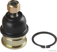 Trag-/Führungsgelenk