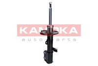 Article Picture