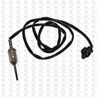 Sensor, Abgastemperatur